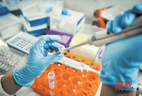 睿樂達再次吸睛 從機器人到原研藥，看成都566.8億元高新技術產品背后的創新韌性