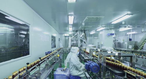 2026年揭秘 酵素飲制造企業如何玩轉健康新潮流——技術交流深度解析
